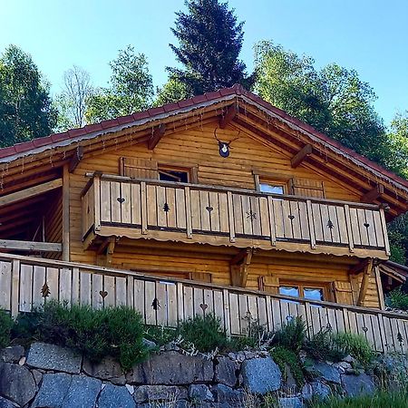 Chalet Typique Vosgien les Barbotines Ventron Extérieur photo