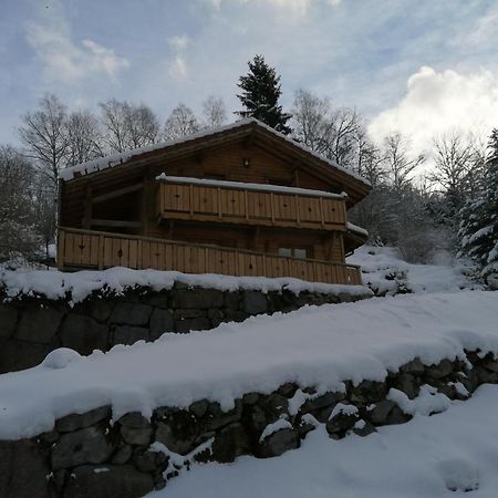 Chalet Typique Vosgien les Barbotines Ventron Extérieur photo